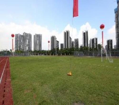 時(shí)代周報(bào)：廣東省過(guò)去5年新增2600塊足球場(chǎng)，超額完成任務(wù)