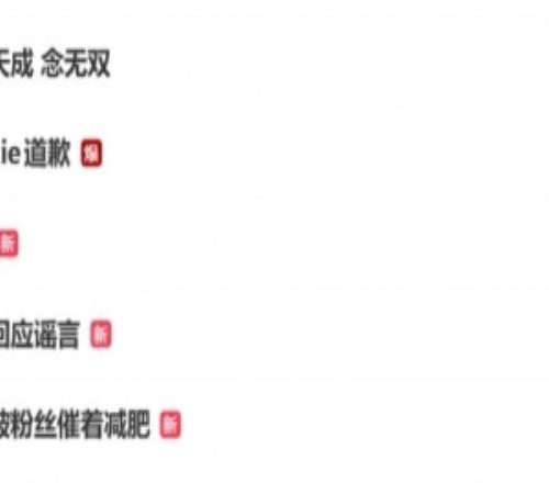 氧望的大手發(fā)力了“Rookie道歉”微博熱度高達百萬但熱搜第11