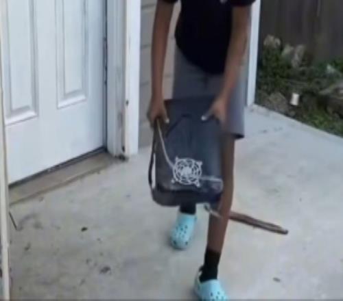 虐待貓咪的處罰方式：母親強(qiáng)迫兒子以同樣方式砸爛PS5主機(jī)！