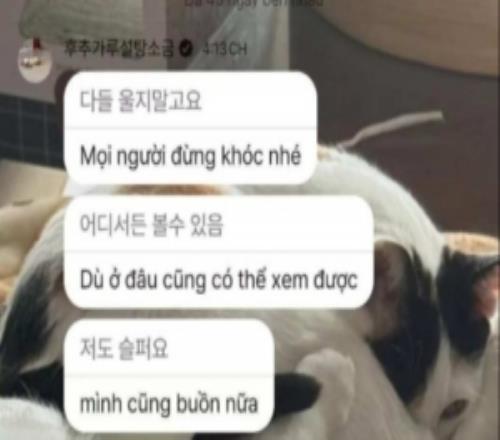 將和Diable互換東家！taeyoon向粉絲告別：無論在哪都見面吧加油