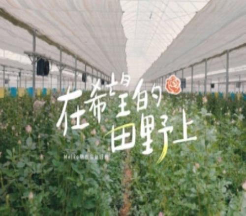 LPL發(fā)布Meiko助農(nóng)公益短片：田野懷著責(zé)任，助力家鄉(xiāng)花卉產(chǎn)業(yè)發(fā)展
