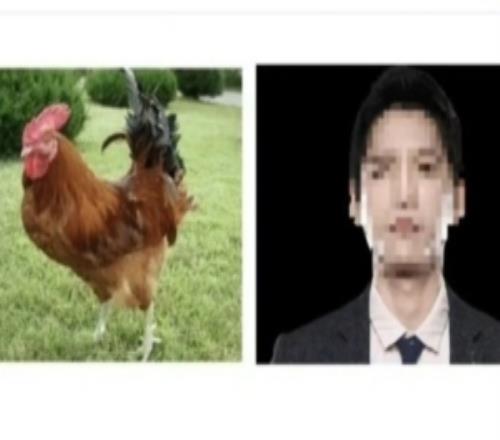 韩网吐槽亚运主教练Hirai：教练是不是也该用数据来比较啊