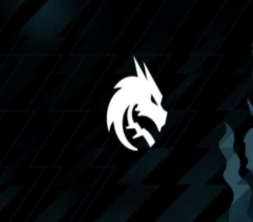 Spirit官方：S0tF1k未能獲得申根簽證hally突發(fā)情況緊急就醫(yī)