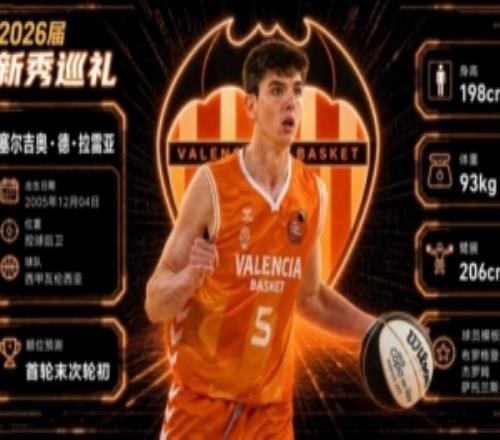 独行侠捡到宝名记盛赞尼克斯选拉雷亚:高大组织后卫+投篮稳定
