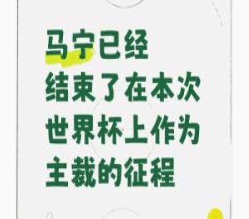 “曝马宁不再任世界杯主裁”登顶热搜!博主:因未携带完整裁判组