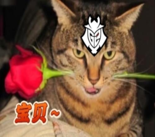 G2约战TES：愿意一起聊聊德莱文buff吗还是你想聊一聊金曲奖的事
