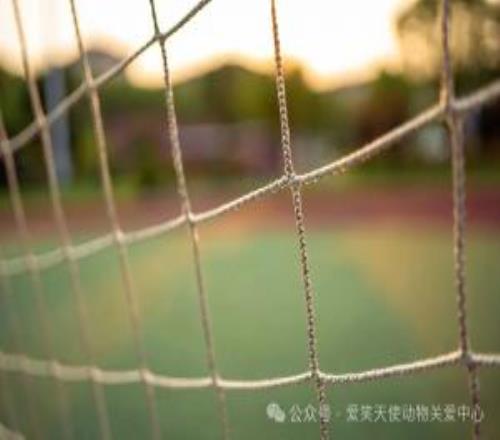 看球助公益!这个周日来场特别的“双向奔赴”!