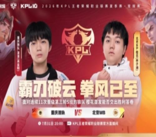 狼隊(duì)重回S組節(jié)奏拉滿擊敗WB拿下勝利狼隊(duì)31WB