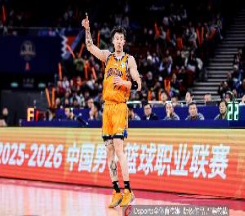 张镇麟:CBA两个顶级小外援就是古德温和布朗只能尽量限制他们