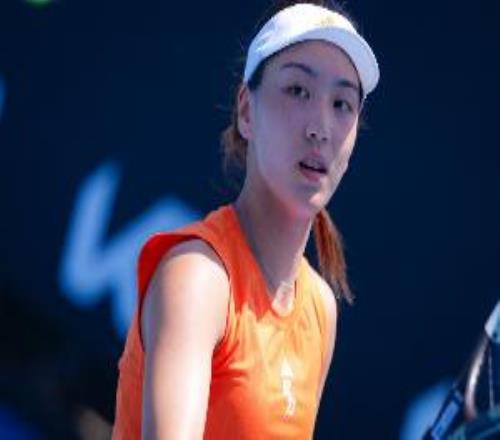 中国网协美网正赛名单:王欣瑜、张帅领衔,吴易昺、商竣程出战
