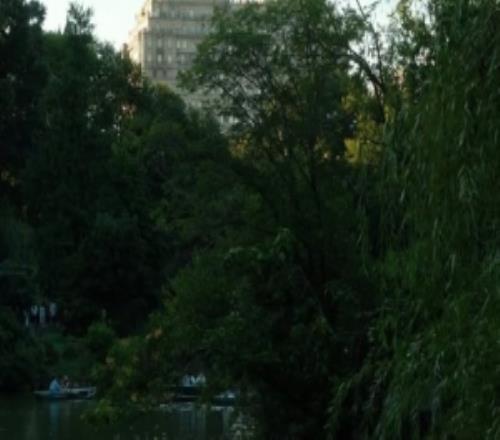 遭郑钦文横扫！斯瓦泰克社媒告别美网：感谢纽约，下一次再见