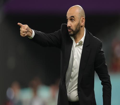 2021年来非洲杯本土教练开始占主流，有望连续4届由他们率队夺冠