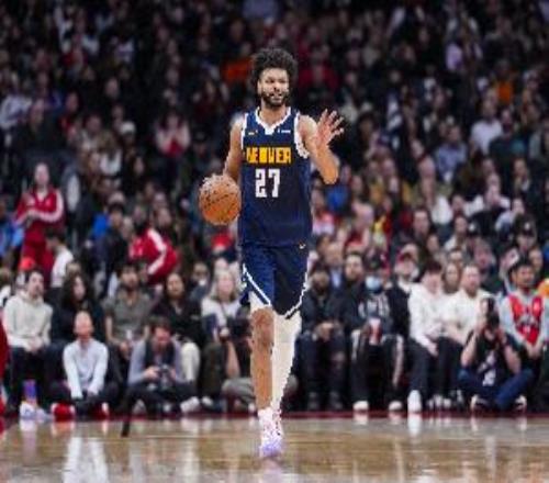 阿德尔曼：穆雷缺席是因为生病且他的脚踝问题是持续存在的困扰