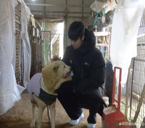 Shadow经纪公司分享Zeka参加流浪犬志愿活动：请多多支持他