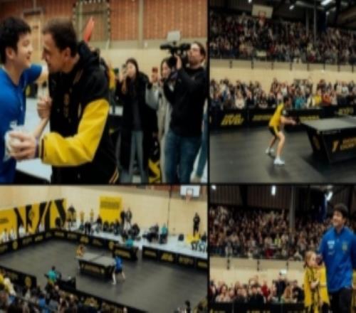 樊振东随队客战多特吸引上千球迷观战，多特死忠波尔也来到现场