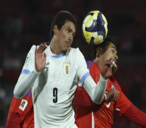 土媒：费内巴切希望租借努涅斯，附带选择买断条款