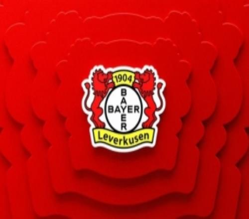 客场比赛因大雪改期！勒沃库森比赛官方：票款全退，门票仍有效