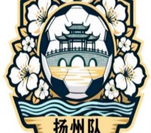 苏超扬州队公开征集队徽，目前入围30个元素覆盖足球、扬州古建筑