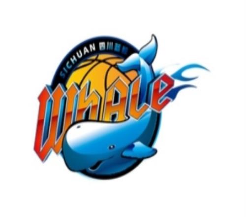 媒体人：四川此前通过质押股权的方式向省篮协借款偿还欠薪&运营