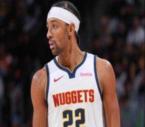 内线支柱！纳吉全场12投4中&罚球2中2得到11分12板2助2帽