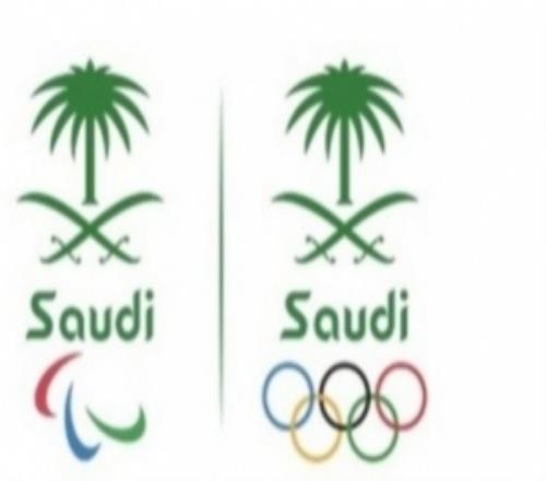 原定于2029年在沙特举办的亚洲冬季运动会推迟