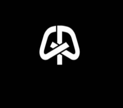 灵感源于庆祝动作！帕尔默社媒晒出个人专属Logo：少即是多