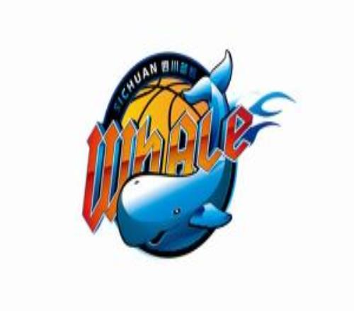 媒体人：外援罢工的四川22连败有些军心涣散破罐子破摔的意思了