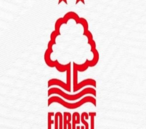 TA：一个老板的两支球队不能同时参加欧冠，森林队已采取规避措施