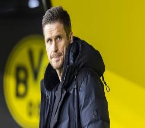 ��ý��������Ϊ�Լ��������������ؽ������������ܼ���Ǳȼ�����