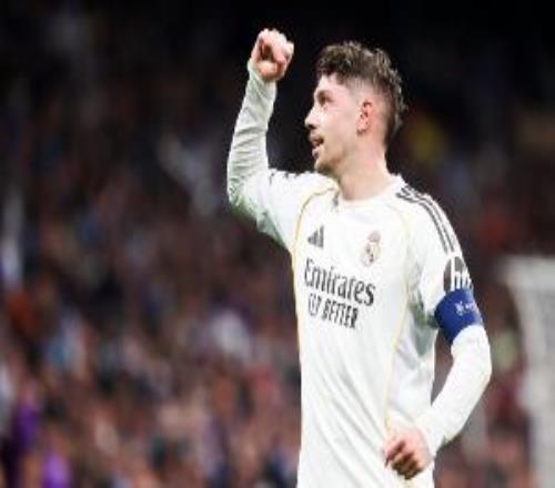 �ڸ��������������������Ľ��������������12����ֲ���