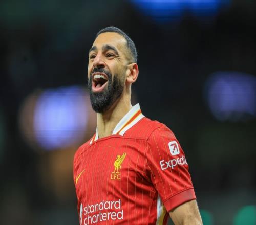 ������(8883��AMG)�ٷ���վ