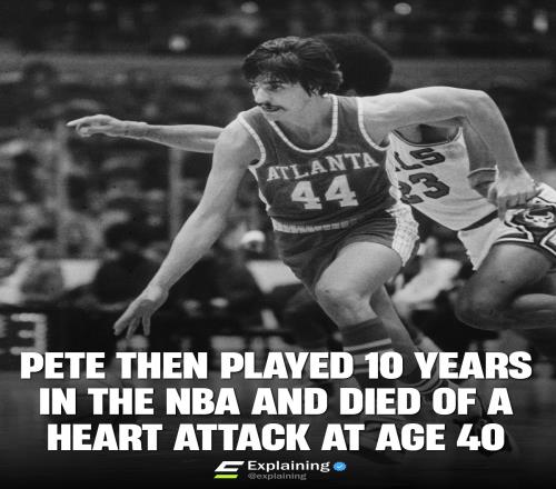 ������(8883��AMG)�ٷ���վ