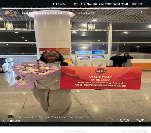 ������(8883��AMG)�ٷ���վ