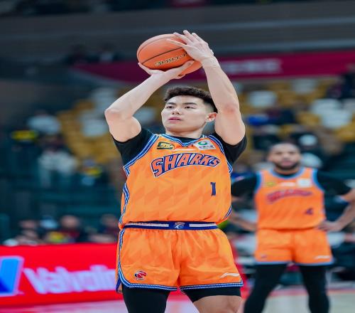 ������(8883��AMG)�ٷ���վ