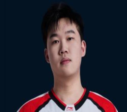 �Ͷ����������naiyou�����Ч��LDL��շת��֧�������Ա��ڴ�