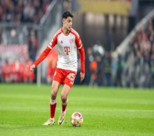 ���ʹٷ���������ά��ָ�С��˽��ѵ�������������Ͱ����������ѵ��