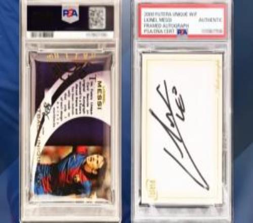 ȥ��ɽ��۽�5��÷�����ǿ����Ϻ���1520��ɽ�����ȫ���¼