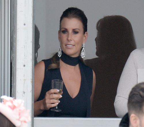 ������(8883��AMG)�ٷ���վ