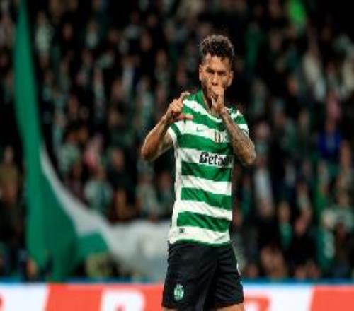 ��Լ��8000����ý������������28������������˹��Ŧ��Ҳ������