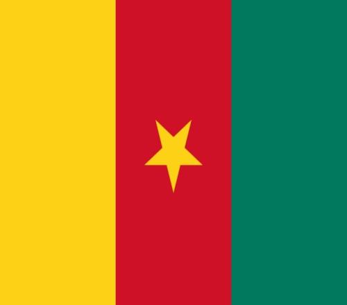 ������(8883��AMG)�ٷ���վ