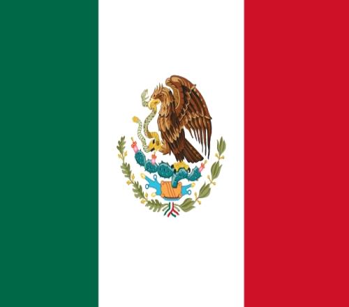 ������(8883��AMG)�ٷ���վ