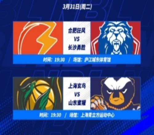 争夺四强门票！合肥狂风VS长沙勇胜上海玄鸟VS山东蜜獾
