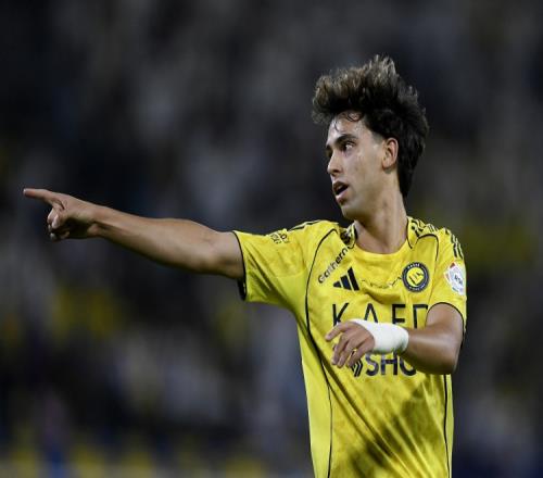 ������(8883��AMG)�ٷ���վ