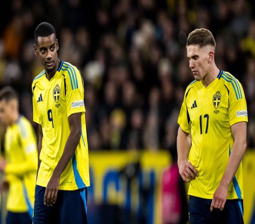 ������(8883��AMG)�ٷ���վ