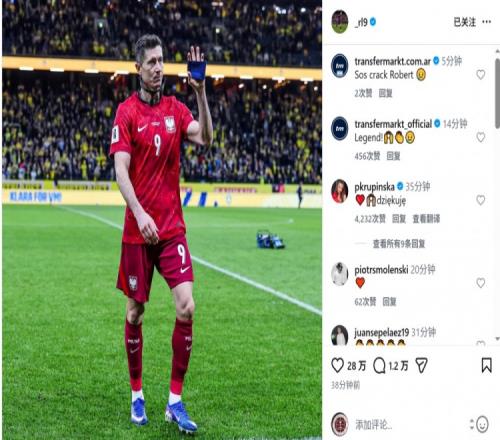 ������(8883��AMG)�ٷ���վ