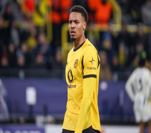 ������(8883��AMG)�ٷ���վ