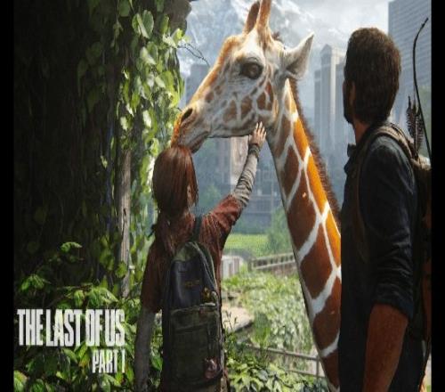 ������(8883��AMG)�ٷ���վ