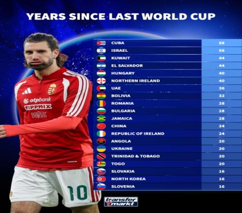 ������(8883��AMG)�ٷ���վ