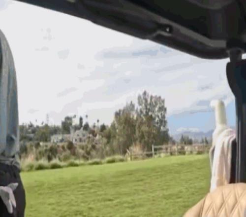 ������(8883��AMG)�ٷ���վ