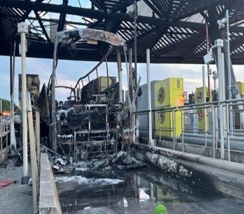 ������(8883��AMG)�ٷ���վ